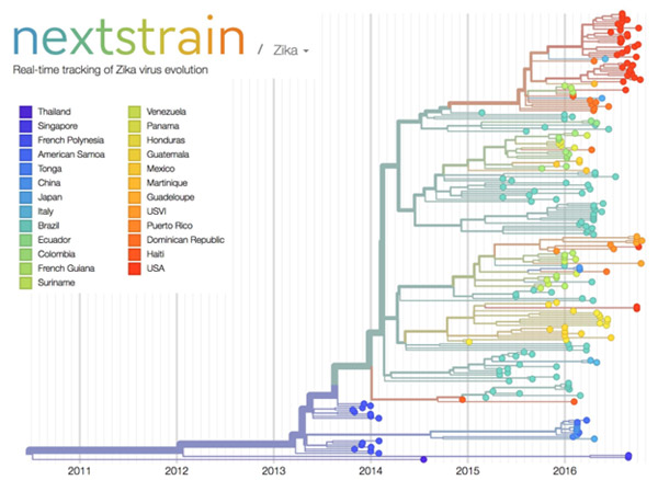 Nextstrain’s analysis of the genomes from Zika virus obtained in 25 countries over the past few years.
