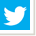 Twitter icon